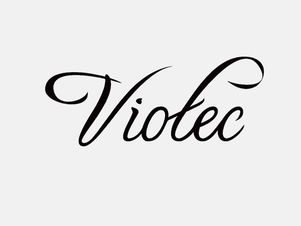 viotec(圖1)